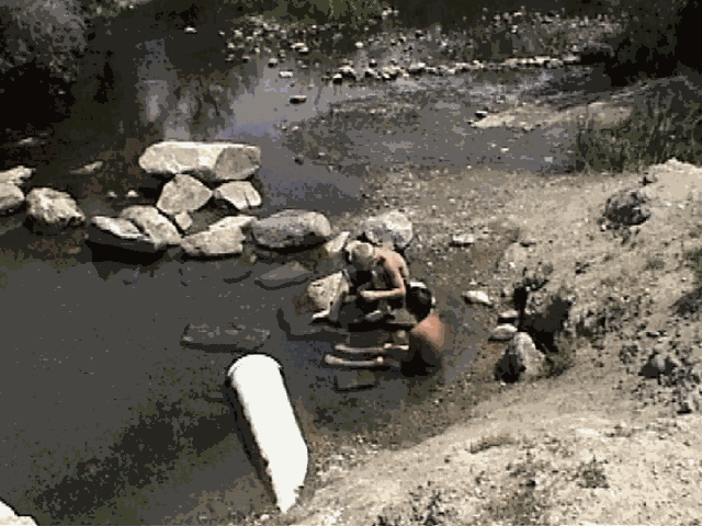 riversoak.gif